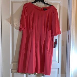 Brand New Tahari Sweet Pea Dress 16